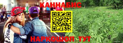 крисы Канаш