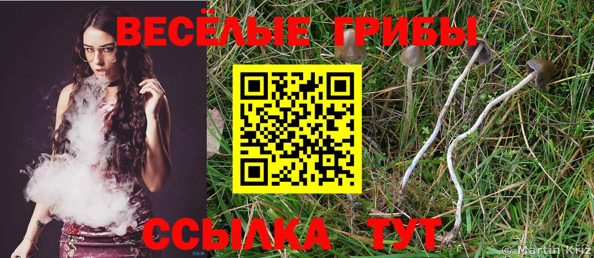 Красноармейск  Псилоцибиновые грибы мухоморы  Вход с VPN  Псилоцибиновые грибы прущие грибы 